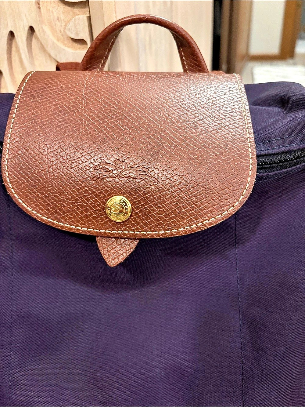 Longchamp Backpack in Purple & Brown - Picture 2 of 7
